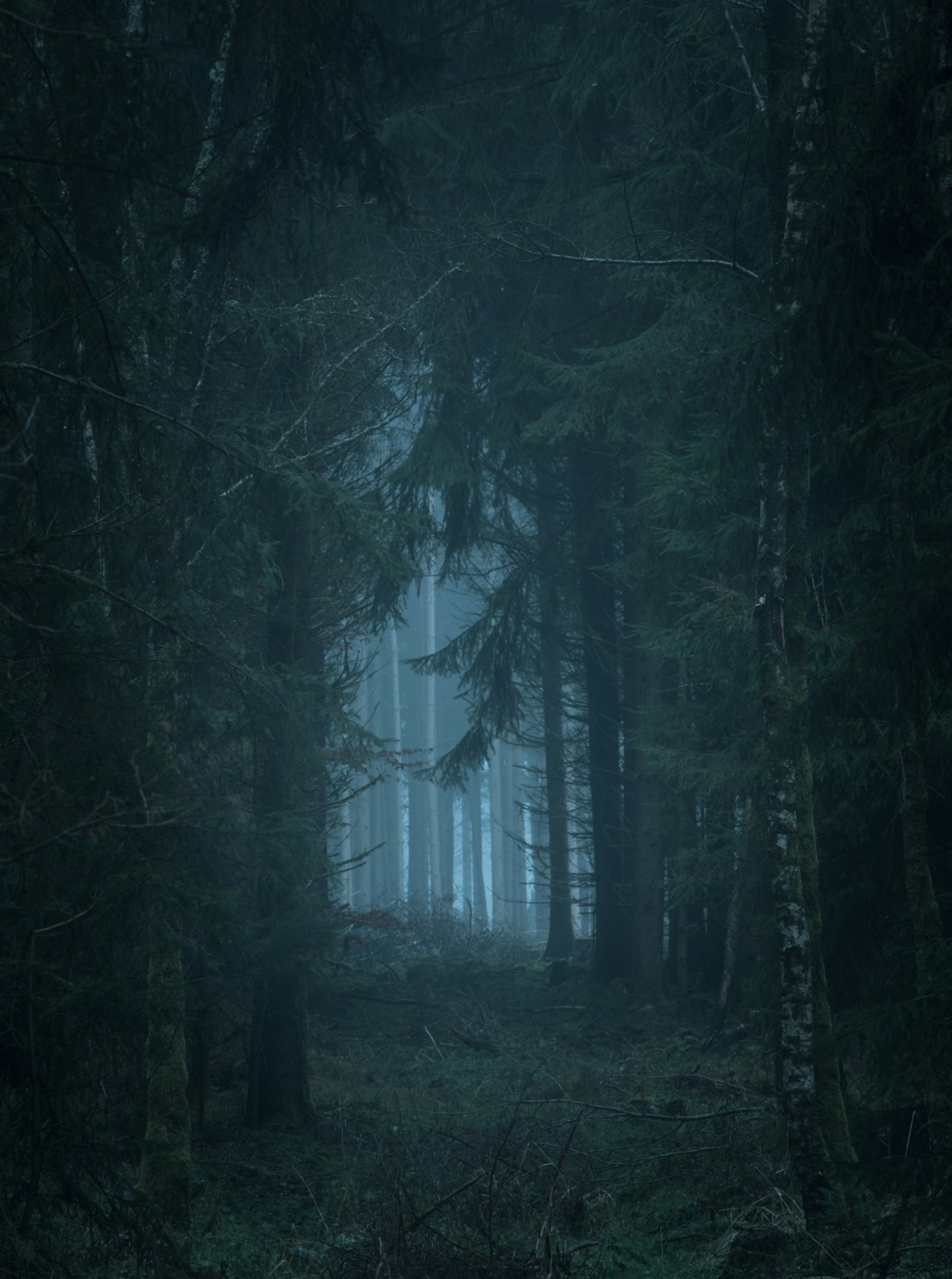 Unveiling the Truth Behind Urban Legends