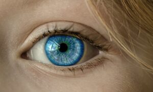 Human eye explained with blue iris - anatomy and vision function